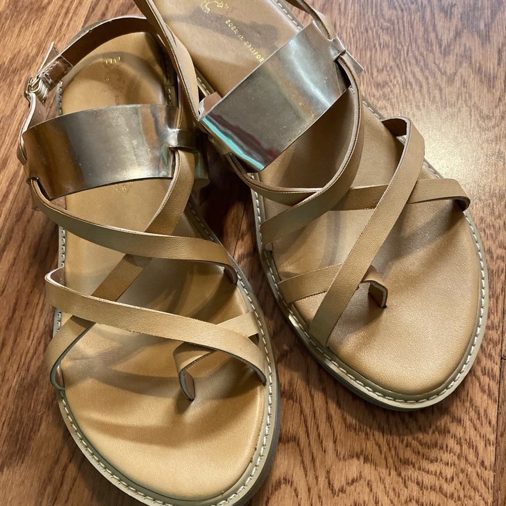 BC Sandal